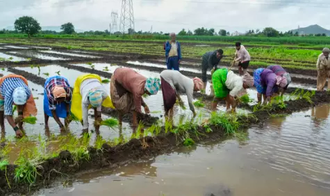 Monsoon dependency of Kharif in a decline Monsoon dependency of Kharif in a decline