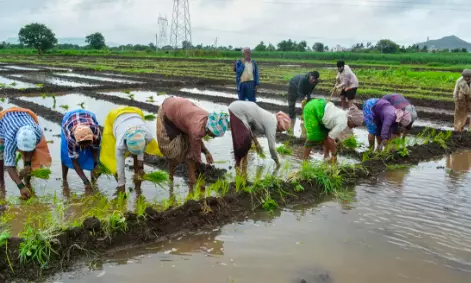 Monsoon dependency of Kharif in a decline
