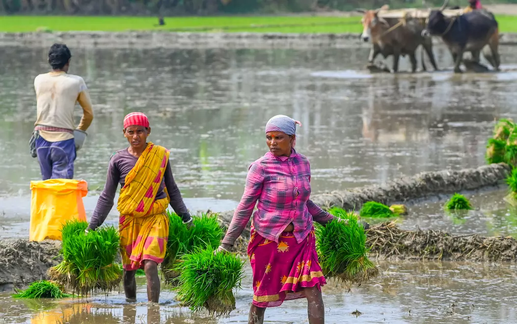 Protesting farmers demand government to procure paddy