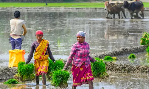 Protesting farmers demand government to procure paddy