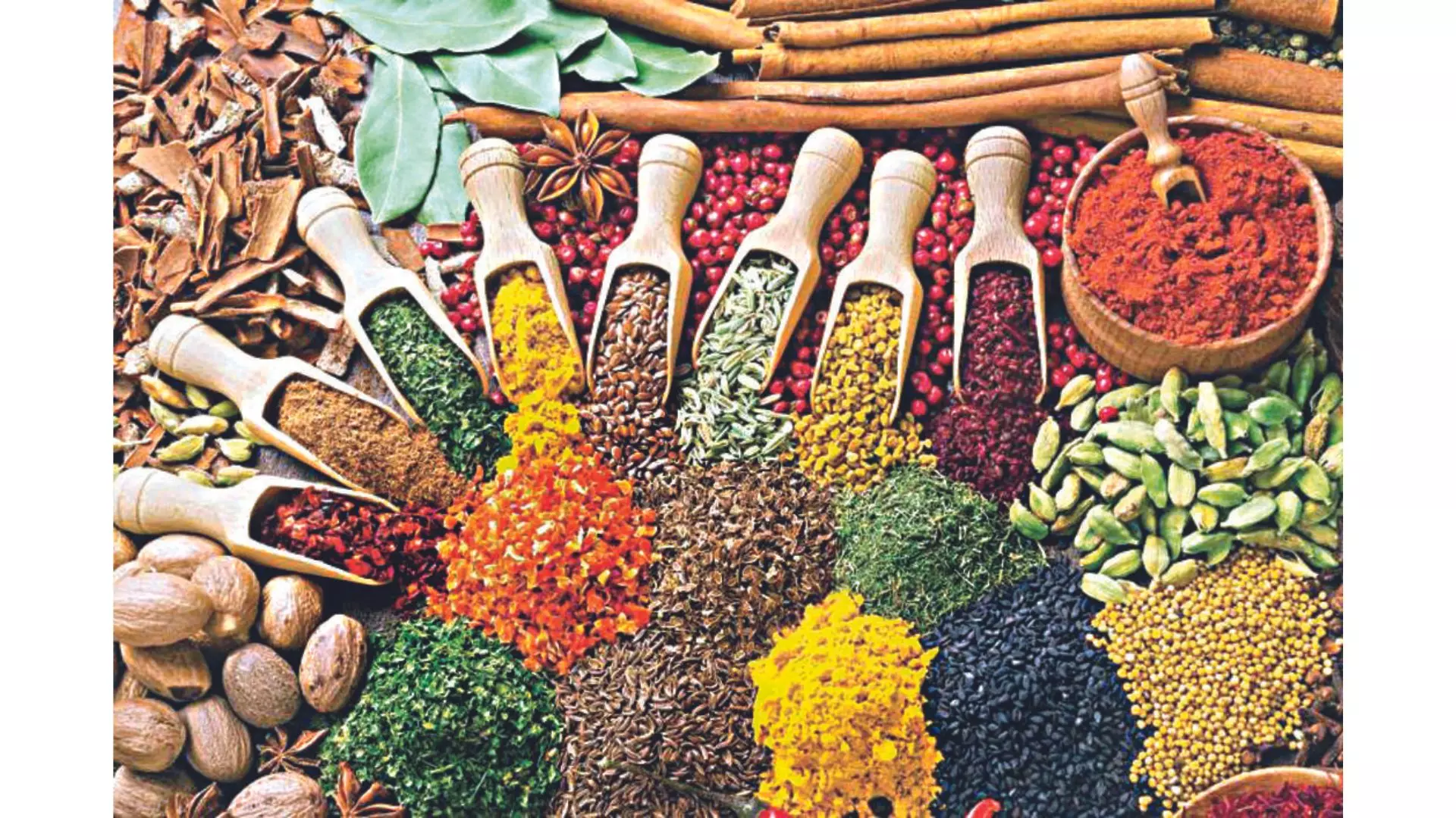 The great Indian masala mayhem