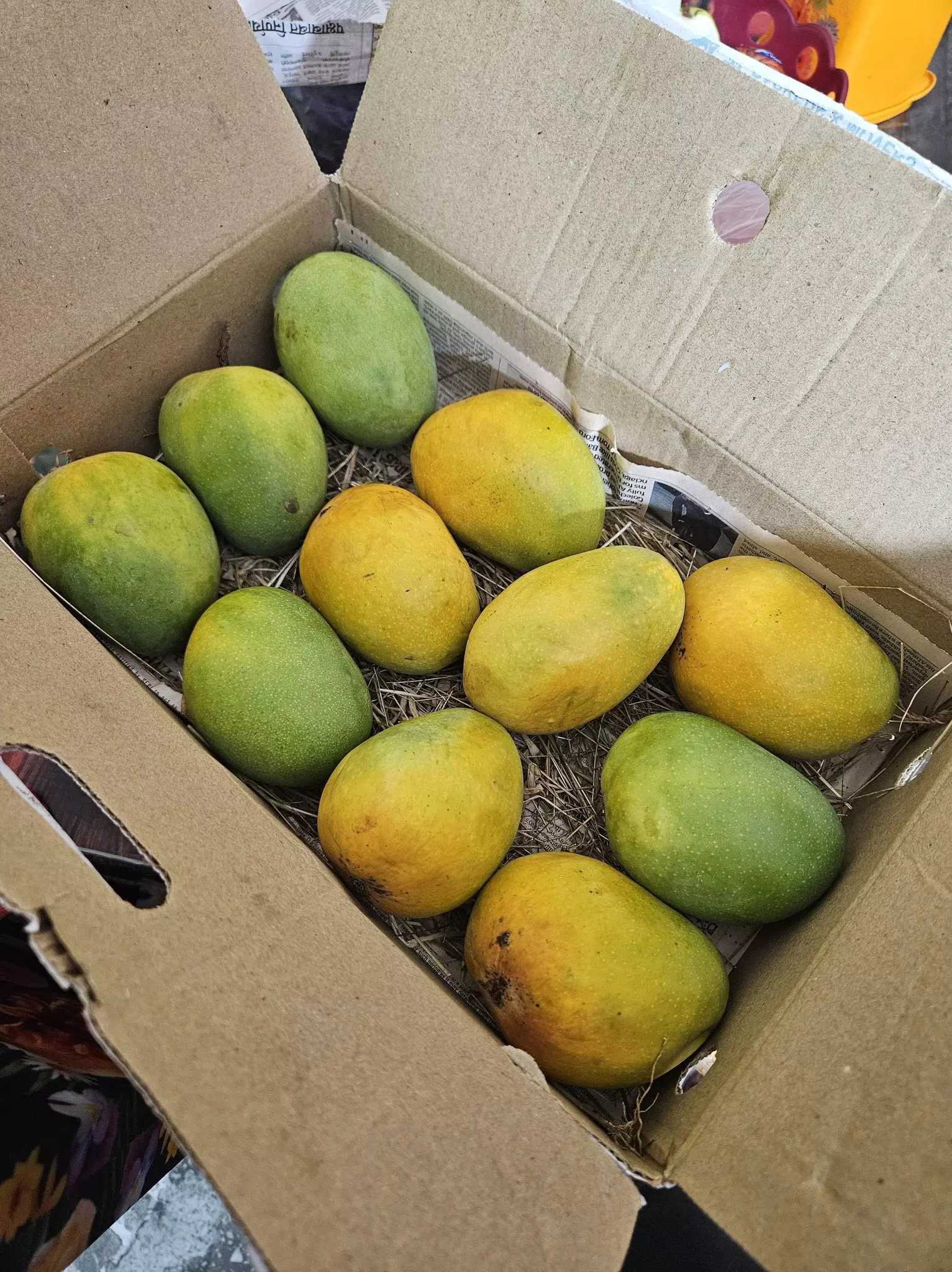 Nutritionists warn against artificially ripened mangoes
