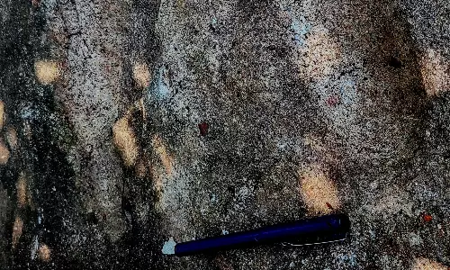 Human footprints on stone believed to be of Godly spirit Babbu Swamy Human footprints on stone believed to be of Godly spirit Babbu Swamy