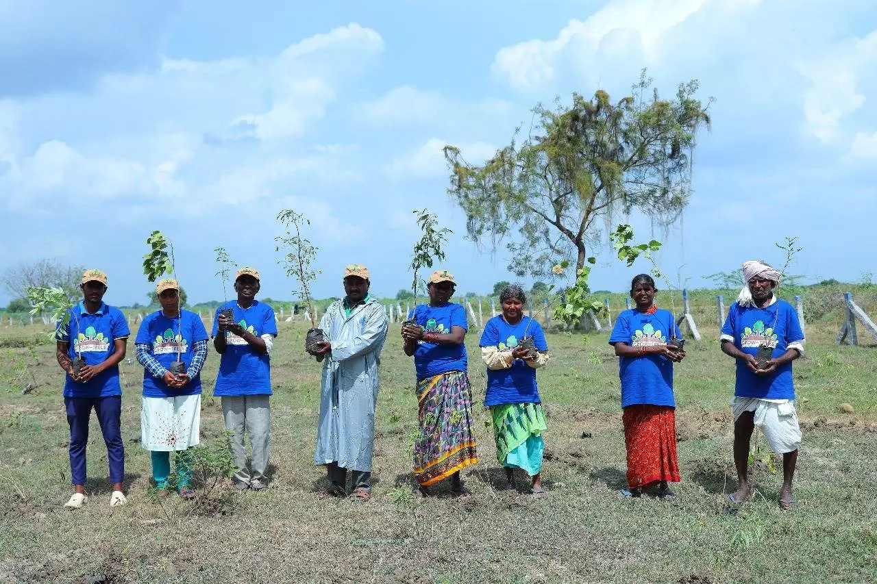 50K trees to restore the natural habitat of displaced species in Telangana 50K trees to restore the natural habitat of displaced species in Telangana