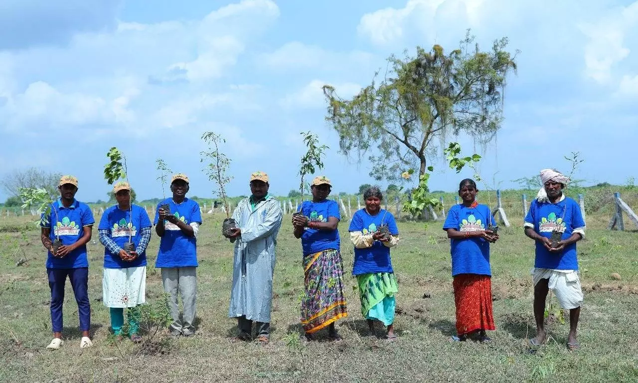 50K trees to restore the natural habitat of displaced species in Telangana