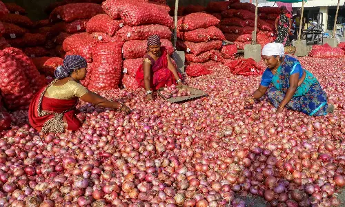 India exports over 45,000 tonnes of Onions after Lifting Ban India exports over 45,000 tonnes of Onions after Lifting Ban