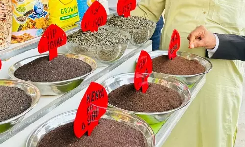 Vigilance Officials Seize Adulterated Tea