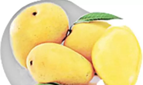 Mango Mania : 4 Must-Try Summer Treats Mango Mania : 4 Must-Try Summer Treats