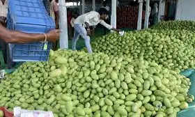 Lowest prices for Amchur worries farmers