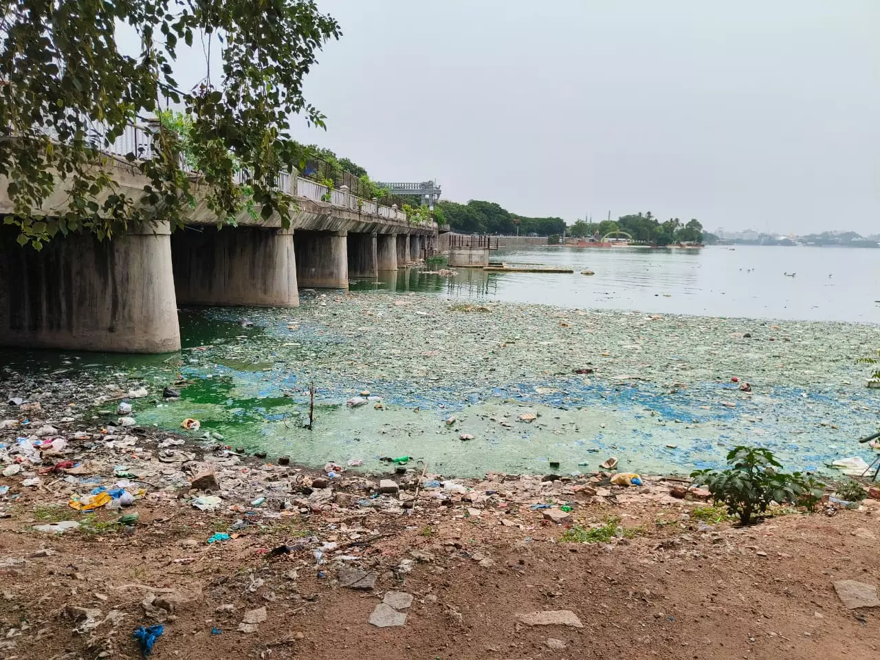 DC Impact: Refuse Accumulated Along Sailing Club Shoreline Removed After Enquiry