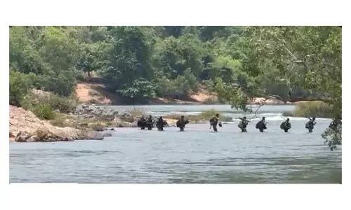 Security Forces Gun Down Maoist, 33 Surrender in Chhattisgarh