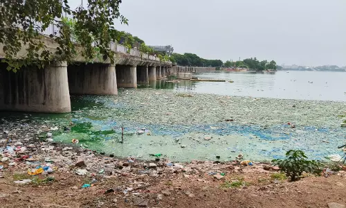 DC Impact: Refuse Accumulated Along Sailing Club Shoreline Removed After Enquiry