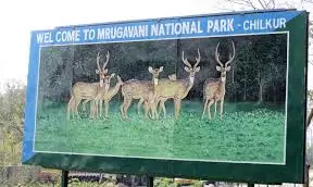 Green activists call for an end to encroachment of national park lands Green activists call for an end to encroachment of national park lands