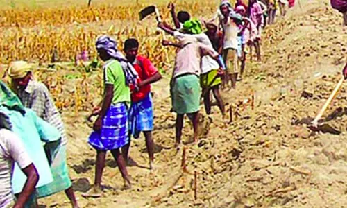 PVTGs to get MGNREGA wages for full week