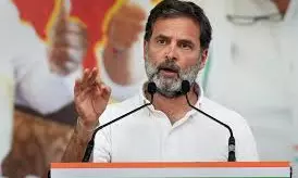 Martin Luther King Jr., Mandela, Einstein took inspiration from Mahatma Gandhi: Rahul Gandhi