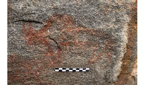 Ancient Rock Paintings Discovered Near Pampa Lake