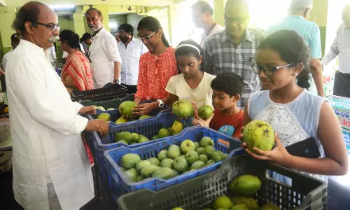 Organic Mangoes Fair in Vizag