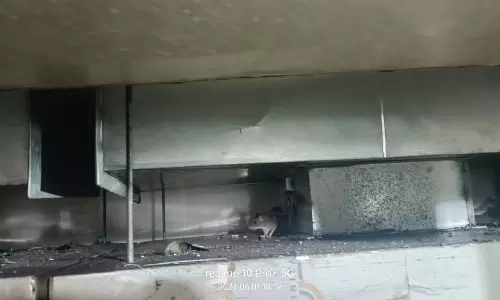 Rat Infestation in Lakdikapul Hotel, Rotten Chicken Found
