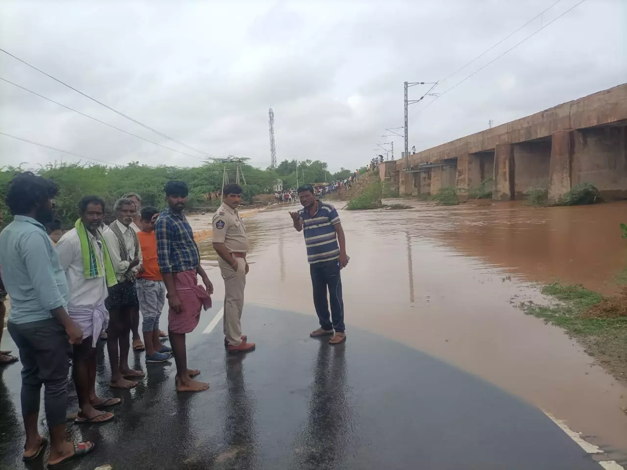 Rains: Huge Damage to Crops, Trees Uprooted Due to Rains in Anantapur and Kadapa Rains: Huge Damage to Crops, Trees Uprooted Due to Rains in Anantapur and Kadapa