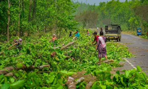 One Dead, 2 Injured in Landmine Explosion in Mulugu Forest
