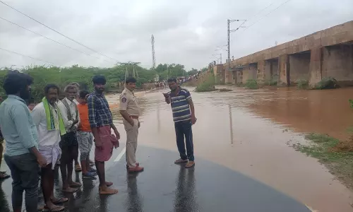 Rains: Huge Damage to Crops, Trees Uprooted Due to Rains in Anantapur and Kadapa Rains: Huge Damage to Crops, Trees Uprooted Due to Rains in Anantapur and Kadapa