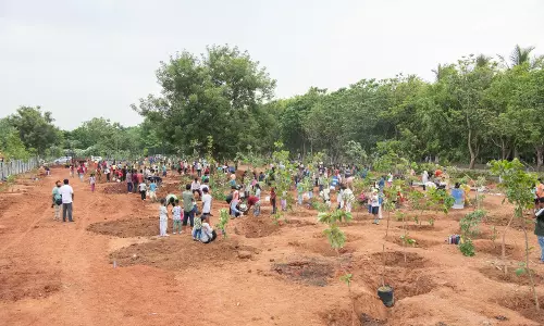 World Environment Day observed at Kanha Shanti Vanam