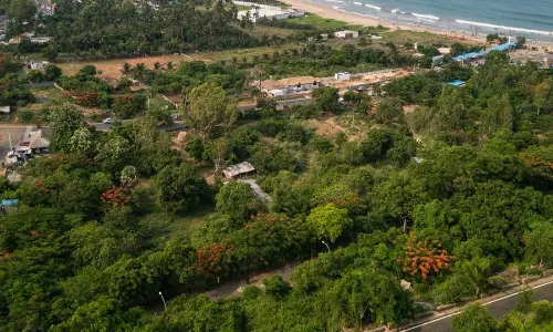 World Environment Day Celebrated with Enthusiasm World Environment Day Celebrated with Enthusiasm