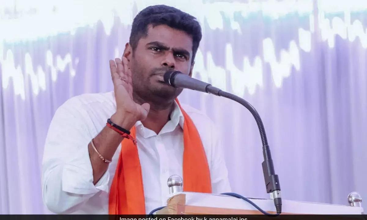 Please Wait, Says Annamalai Amid Rumours of Quitting BJP