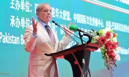 Pakistan, Panama, Somalia, Denmark and Greece Elected UNSC Non-permanent Members Pakistan, Panama, Somalia, Denmark and Greece Elected UNSC Non-permanent Members