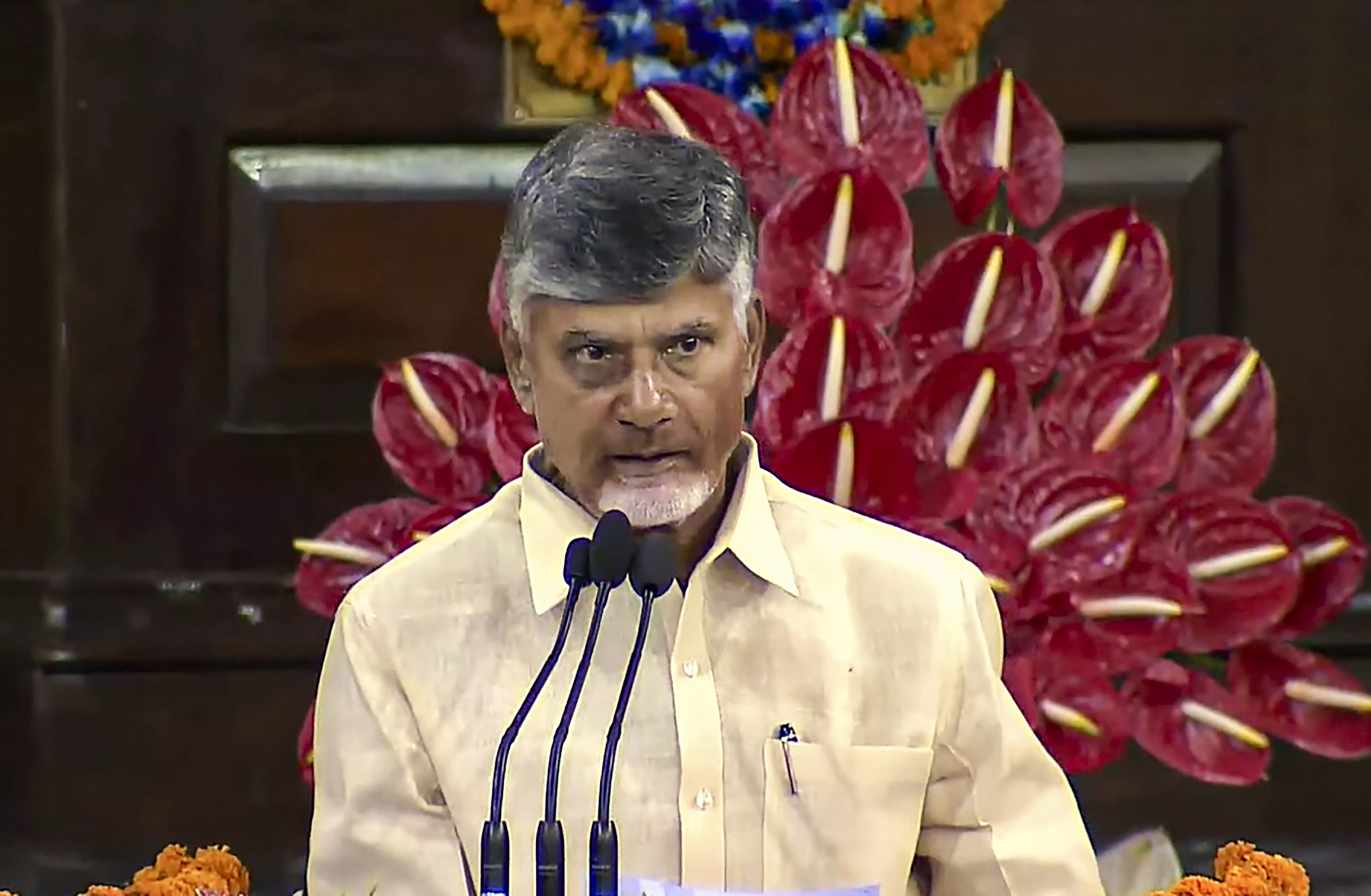 Balance Regional Aspirations, National Interests: TDP Chief Naidu