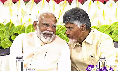 Balance regional aspirations, national interests: TDP chief Naidu