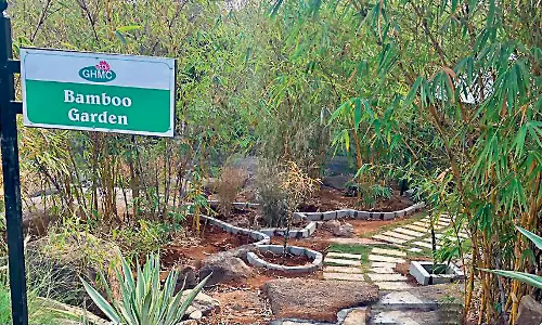 GHMC Initiates Revamp Plan for KBR National Park