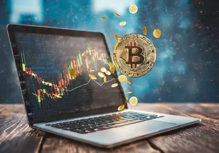 Bitcoin vs Altcoins: Which One Should You Choose?