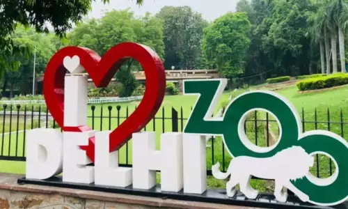 Delhi Zoo Transformation: New Animal Species; Enhanced Visitors Experience