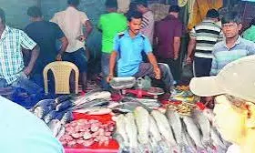 Mrigasira Karti jackpot: Fish markets record sale of 10 tonnes