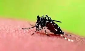 TS: Health Department Issues Advisory to Combat Monsoon Illnesses: Tips and Precautions