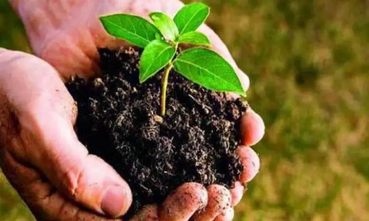 Sensory Boost for Vizag Students Sensory Boost for Vizag Students