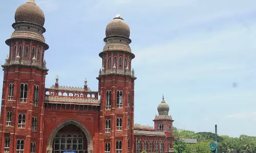 Treat transgenders as special category for employment, education: Madras HC