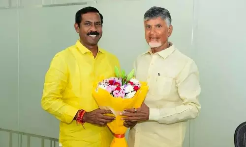 Palla Srinivasa Rao Is New AP TD Chief