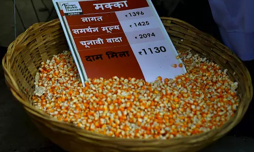 Cabinet Hikes MSP for Kharif Crops