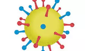 Monsoon woes: DMHO calls for vigil against seasonal diseases