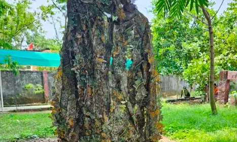 How Chhattisgarh Maoists are avoiding drone surveillance