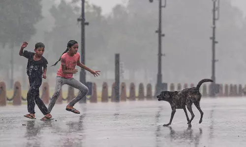 Patralekha Chatterjee | India’s scorching heat divide rising, act now