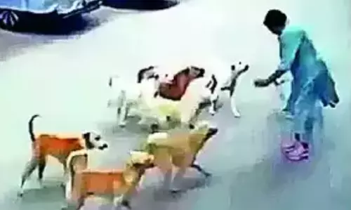 Woman escapes pack of street dogs in Hyderabad, husband posts video online to raise awareness