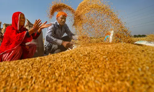 Centre imposes stock limits on wheat