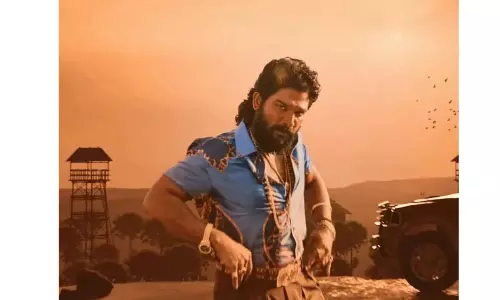 Did Allu Arjuns Pushpa Makers Decline Rs 900 Cr Offer?