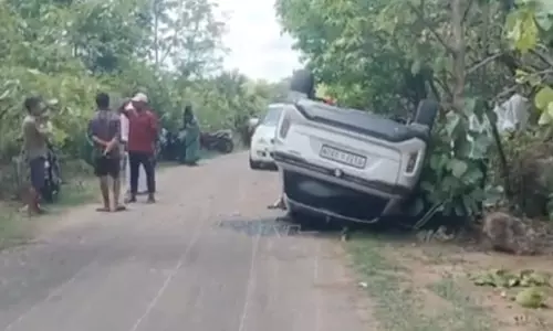 Woman dead as car overturns after driver sights leopard