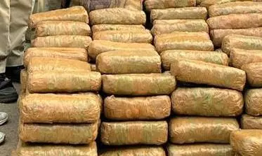 Telangana: Inter-state Peddler Held with Ganja Worth Rs.3.50 Lakh Telangana: Inter-state Peddler Held with Ganja Worth Rs.3.50 Lakh