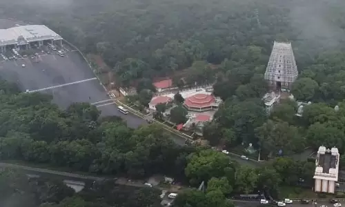 TTDs token scanning curbs Dalari menace