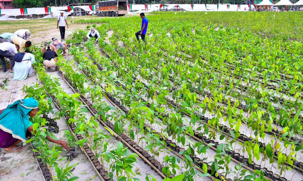 BJP to plant 5 lakh saplings for Jan Sangh founder
